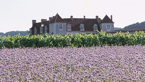 Domaine de la Vougeraie