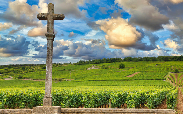 Domaine de la Romanee-Conti