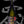 Load image into Gallery viewer, Juyondai Junmai Daiginjo 720ml【十四代 超特撰 纯米大吟醸】