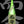 Load image into Gallery viewer, Jikon Tokubetsu Junmai【而今 特别純米 生】