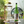 Load image into Gallery viewer, Exquisite Sake Wine Decanter Cooler Set