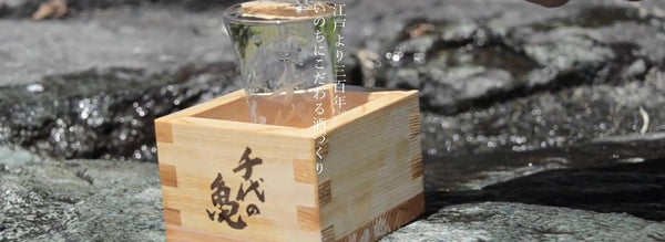 Chiyonokame千代の亀