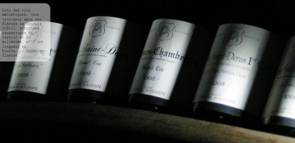 Domaine Stephane Magnien