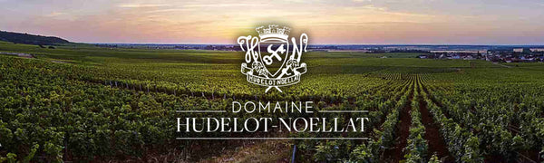 Alain Hudelot-Noellat
